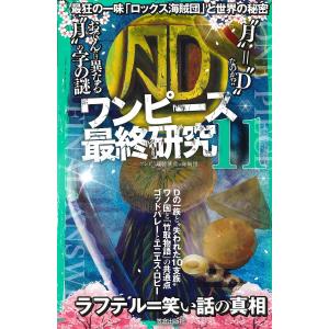 ワンピース最終研究　１１