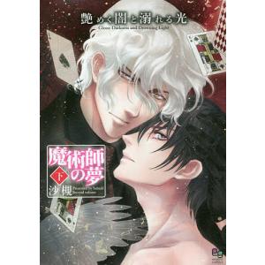 艶めく闇と溺れる光　魔術師の夢　下/沙槻