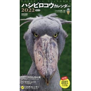 【条件付+10％相当】’２２　ハシビロコウカレンダー【条件はお店TOPで】