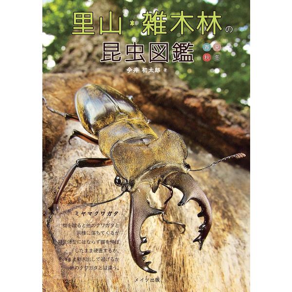 里山・雑木林の昆虫図鑑 春夏秋冬/今井初太郎