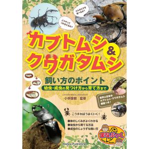 カブトムシ＆クワガタムシ飼い方のポイント　幼虫・成虫の見つけ方から育て方まで/小林俊樹