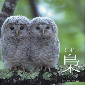 日本の梟/真木広造