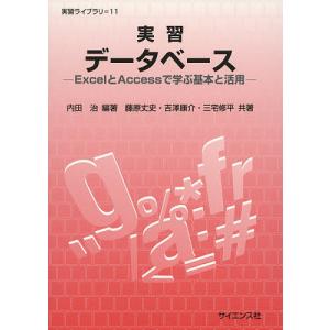 実習データベース ExcelとAccessで学ぶ基本と活用/内田治/藤原丈史/吉澤康介｜boox