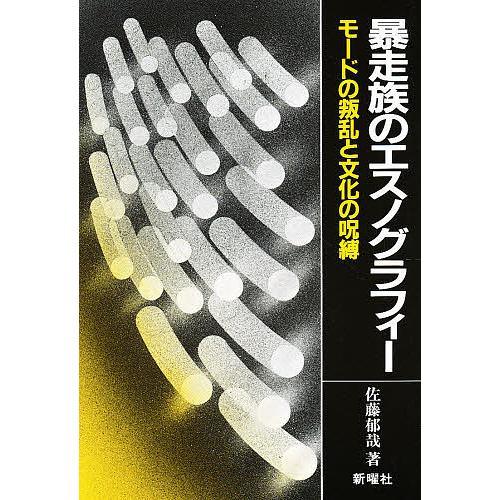 暴走族のエスノグラフィー モードの叛乱と文化の呪縛/佐藤郁哉
