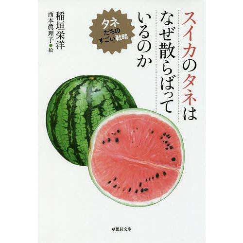 スイカのタネはなぜ散らばっているのか タネたちのすごい戦略/稲垣栄洋/西本眞理子