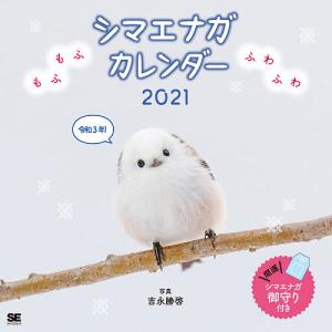 シマエナガ グッズ 書籍関連グッズ の商品一覧 本 雑誌 コミック 通販 Yahoo ショッピング