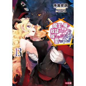 魔王の俺が奴隷エルフを嫁にしたんだが、どう愛でればいい？　１３/手島史詞