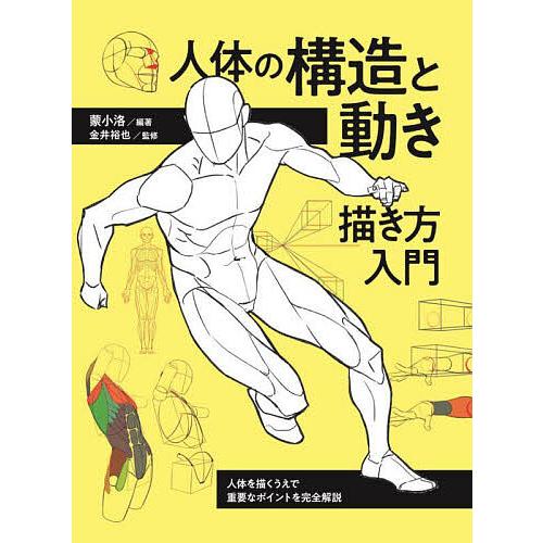 人体の構造と動き描き方入門 人体を描くうえで重要なポイントを完全解説/蒙小洛/金井裕也
