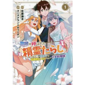無能と呼ばれた『精霊たらし』〜実は異 1/タバタグランドキャニ佐藤謙羊