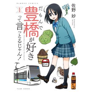 だもんで豊橋が好きって言っとるじゃん 1/佐野妙