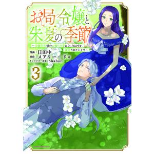 お局令嬢と朱夏の季節 冷徹宰相様のお飾りの妻にな...の商品画像