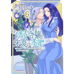 お局令嬢と朱夏の季節 冷徹宰相様のお飾りの妻にな...の商品画像