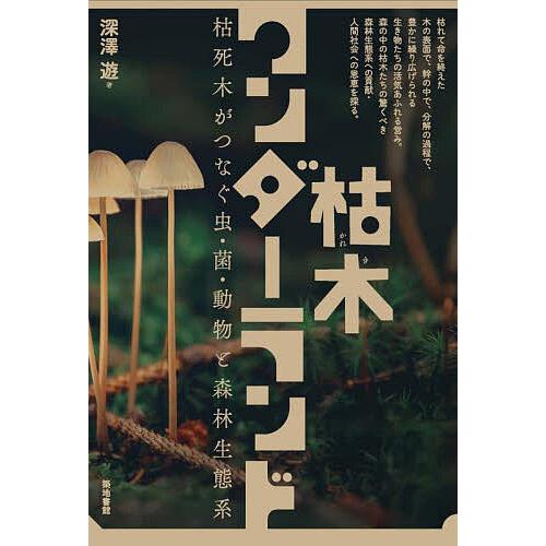 枯木ワンダーランド 枯死木がつなぐ虫・菌・動物と森林生態系/深澤遊