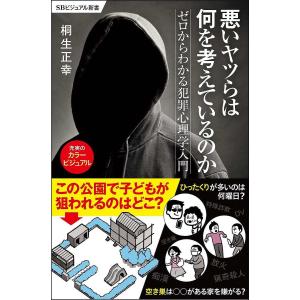 悪いヤツらは何を考えているのか ゼロからわかる犯罪心理学入門/桐生正幸
