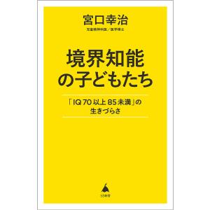の生きづらさ 〔予約〕発達障害と知的障害 仮 IQ70から85未満 SB新書
