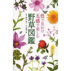 色で見わけ五感で楽しむ野草図鑑/藤井伸二/高橋修