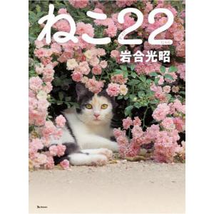 ねこ２２（にゃんにゃん）/岩合光昭