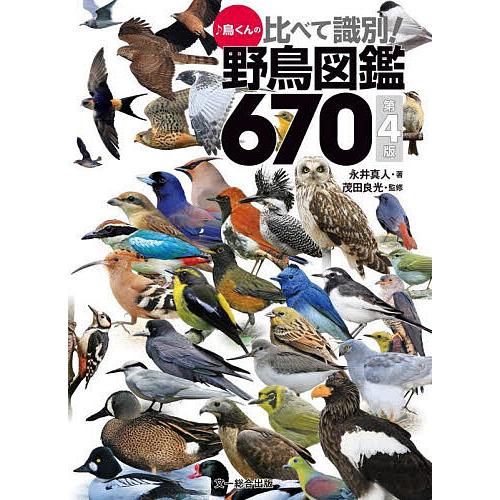 ♪鳥くんの比べて識別!野鳥図鑑670/永井真人/茂田良光