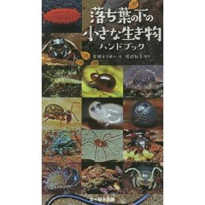 落ち葉の下の小さな生き物ハンドブック/皆越ようせい/渡辺弘之