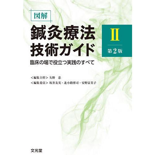 図解鍼灸療法技術ガイド 臨床の場で役立つ実践のすべて 2/矢野忠/主幹坂井友実/委員北小路博司