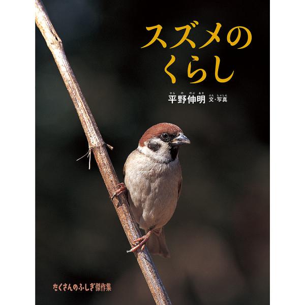 スズメのくらし/平野伸明