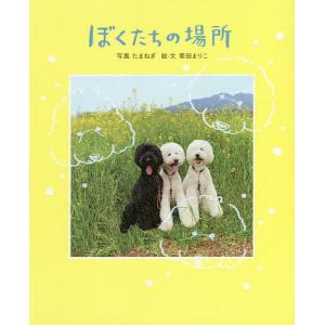 ぼくたちの場所/たまねぎ/菊田まりこ