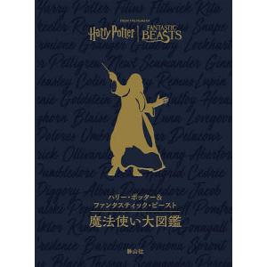 TCG関連[英語版マジック：ザ・ギャザリング 公式カードガイド 4 Magic