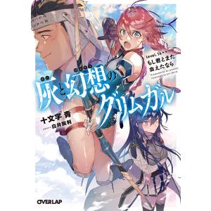 灰と幻想のグリムガル level.14++/十文字青