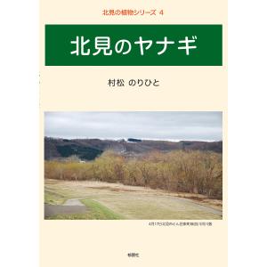 北見のヤナギ/村松のりひと｜boox