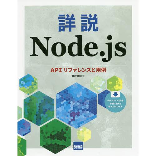 詳説Node.js APIリファレンスと用例/豊沢聡