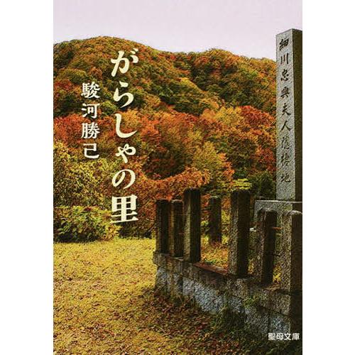 がらしゃの里/駿河勝己