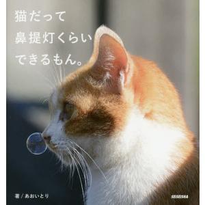 猫だって鼻提灯くらいできるもん。/あおいとり