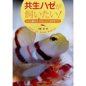 共生ハゼが飼いたい! エビと暮らすかわいいハゼのすべて/円藤清｜boox