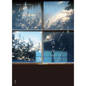 エレメンツ 句集/鴇田智哉