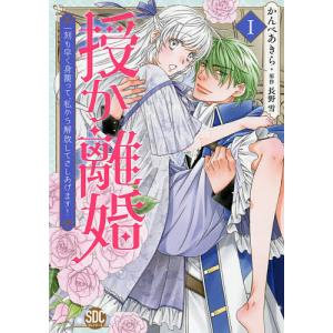 授か離婚　１/かんべあきら/長野雪