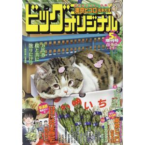 ビッグオリジナル増刊 2023年5月号