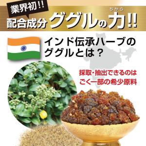 META-SLIM 新発売セール ニコチンレス...の詳細画像2