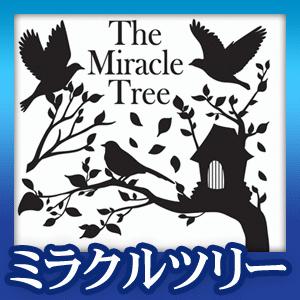 ウォールステッカー 窓 シール 鳩 木 鳥かご