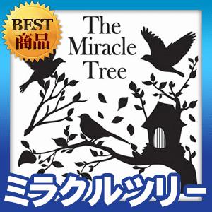 ウォールステッカー ナチュラル シール 鳩 木 鳥かご