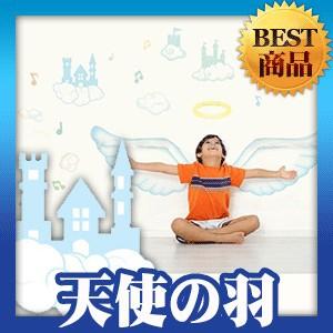 ウォールステッカー 柄 シール 天使 羽 キャッスル