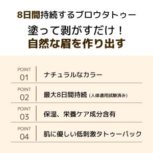 ベリサム ブロウタトゥーパック 10g アイブ...の詳細画像2