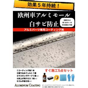 欧州車 アルミモール 白サビ防止 ガラスコーティング 効果5年持続 耐候
