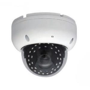 200万画素SDカード内蔵 ドーム型防犯カメラ　BSC-001S