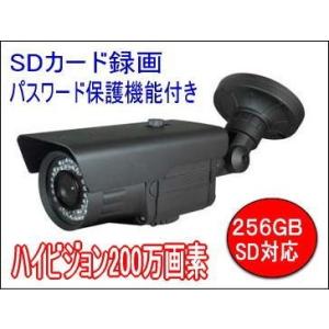 200万画素SDカード内蔵 屋外防水 暗視防犯カメラ　BSC-010