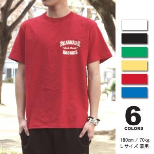 Tシャツ メンズ レゲエ reggae メール便OK まとめ割 Tシャツフェスタ