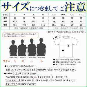 Tシャツ メンズ Tシャツ-パラダイス対象 P...の詳細画像4