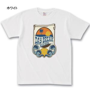 Tシャツ メンズ Tシャツ-パラダイス対象 d...の詳細画像1