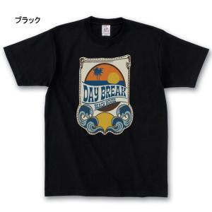 Tシャツ メンズ Tシャツ-パラダイス対象 d...の詳細画像2