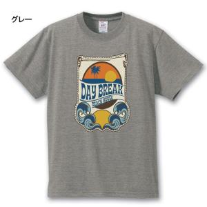Tシャツ メンズ Tシャツ-パラダイス対象 d...の詳細画像3