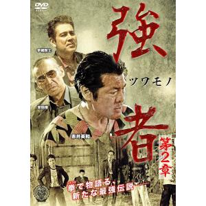 DVD 強者 第2章 赤井英和 菅田俊 小沢和義 北代高士 宇梶剛士 任侠 極道